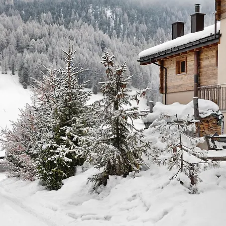 Casa Nicoletta Estate Lejlighed Livigno